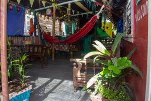 Aed väljaspool majutusasutust Hostal Café Axi