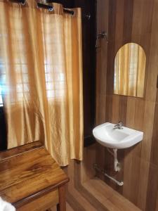 a bathroom with a sink and a shower curtain at Kailasahomestay & Ayurvedic Spa in Pūvār
