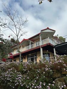 Kebun di luar 樂野仙蹤