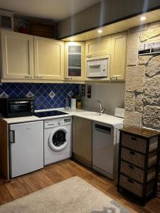 eine Küche mit Waschmaschine und Spüle in der Unterkunft Apartamento Selva Blanca 9 in Villanúa