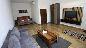ein Wohnzimmer mit Couch und Fernseher in der Unterkunft Kokavská izba - Apartmány in Kokava na Rimavica