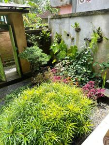Fotografie z fotogalerie ubytování GuestHouse Sayan UBUD v Ubudu