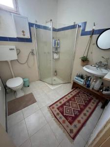 a bathroom with a shower and a toilet and a sink at על ראש הגבעה- משק 68 in Ilaniya