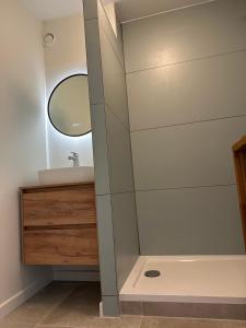 a bathroom with a shower with a sink and a mirror at Appartement vue mer à 100m des plages, classé 4* in Biarritz +8 photos