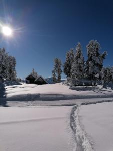 Stoderhütte през зимата