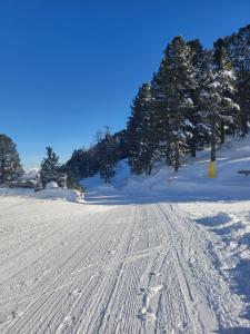 Stoderhütte през зимата