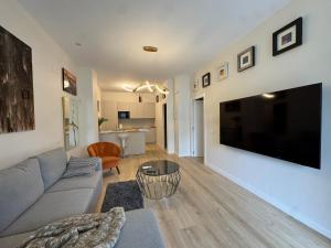 Una sala de estar con un sofá y un televisor de pantalla plana grande. en GOLD SUITE APARMENT Wifi AC SERVICES E1, en Madrid