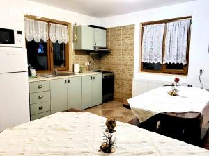 Η κουζίνα ή μικρή κουζίνα στο vila Dariana