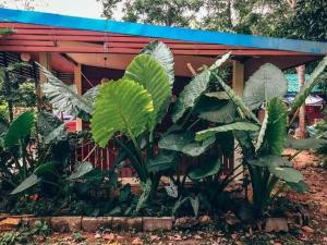 Zahrada ubytování Song pee nong resort Phattalung + 2 fotografie