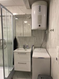 une petite salle de bain avec un lavabo et une douche dans l'établissement Quiet and peaceful apartment, close to everything, à Tromsø 61 autres photos