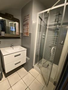 a bathroom with a shower and a sink at La Rose des Vents in Saint-Bonnet-en-Champsaur
