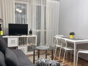 Televízia a/alebo spoločenská miestnosť v ubytovaní 7Centrum CityApartHomePARKING