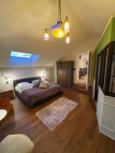 a bedroom with a bed and a skylight at Maison d hotes villa les pervenches in La Chaux-de-Fonds