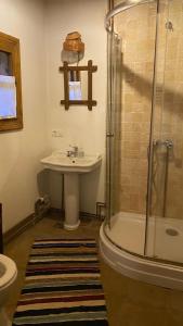 a bathroom with a sink and a shower at Poiana Creasta Cocoșului-Casa Mac in Breb