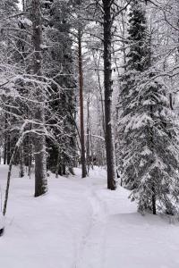 Το Holiday Cabin Aurora River inc Wilderness Sauna τον χειμώνα