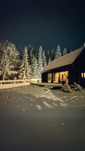 uma cabana com árvores cobertas de neve ao fundo em laba em Lasowka