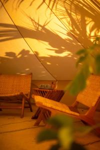 Fotografie z fotogalerie ubytování The Maverick Surf & Dive Boutique Hotel v destinaci Laamu Atoll