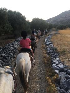 a group of people riding horses down a road at Nektarios Village House in Neápolis