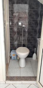 Un baño con inodoro y una pared de azulejos. en Charming House in Santa Maria del Focallo with Enclosed Garden, en Santa Maria del Focallo