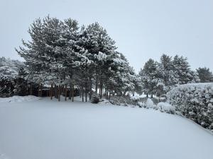 Το Villa - VALL DI VALL in Pirin Golf & Country Club τον χειμώνα