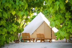 Fotografie z fotogalerie ubytování The Maverick Surf & Dive Boutique Hotel v destinaci Laamu Atoll