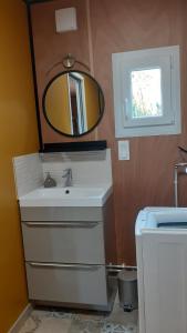 a bathroom with a sink and a mirror at le Clos des Golferies, chalet avec jacuzzi in Les Mothes