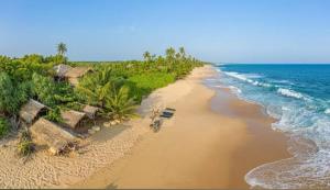 坦加拉朱砂豪华帐篷度假酒店的海滩上设有长凳和海洋