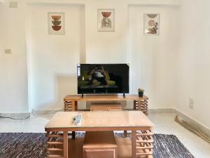 TV a/nebo společenská místnost v ubytování Boho studio near to Egyptian museum 6