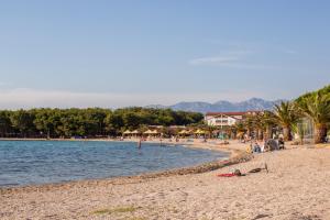 a group of people on a beach with a body of water at apartments VIGI - III in Povljana