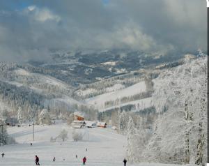 a group of people skiing down a snow covered slope at U Tadeka in Krásno nad Kysucou