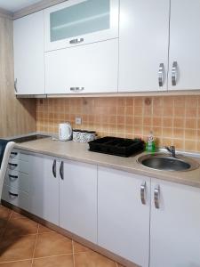 Η κουζίνα ή μικρή κουζίνα στο Apartman Cvetkovic +11 φωτογραφίες