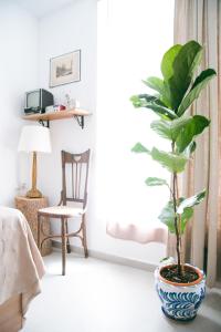 a plant in a blue and white vase in a room at Casa Hera - Boutique House in Alhaurín el Grande in Alhaurín el Grande