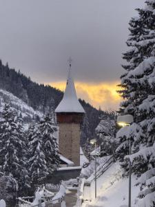 Chalet Im Wieselti v zimě