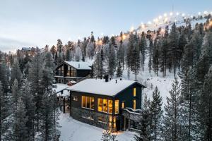 a house on the side of a mountain in the snow at Villa Välke - Relax In Style in Pyhätunturi