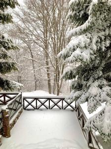 uma ponte coberta de neve ao lado de uma árvore coberta de neve em Laki's House em Mavrovo mais 3 fotografias