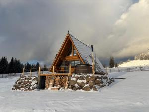 VărşagA mon Chalet的雪地里的小木屋,积雪