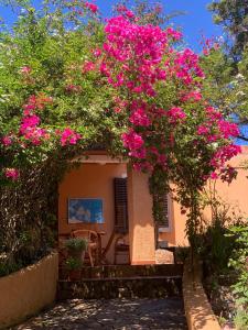 A garden outside Casa MìMì