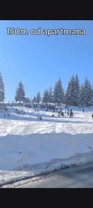 Apartman Zlatar-Vasiljevic during the winter