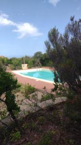 a swimming pool in the middle of a forest at Casa Azul villa e piscina relax Costa Paradiso Sardegna in Costa Paradiso