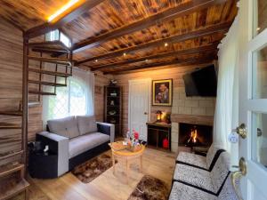 a living room with a couch and a fireplace at MOLINO DEL PUENTE in Cuenca