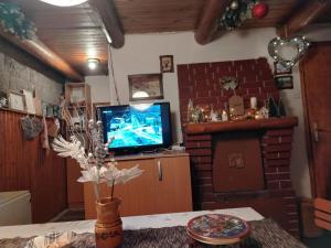 TV a/nebo společenská místnost v ubytování Vila Lara