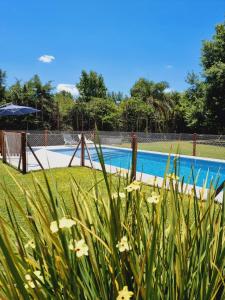 a view of a swimming pool with flowers in the foreground at El Charanguito Casa Quinta in Capilla del Señor