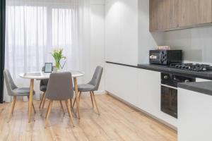 Kuchyň nebo kuchyňský kout v ubytování Chisinau Apartments Shadow + 12 fotografií