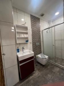 Un baño con inodoro, lavabo y ducha. en DIMBIL APART, en Estambul 42 fotos más