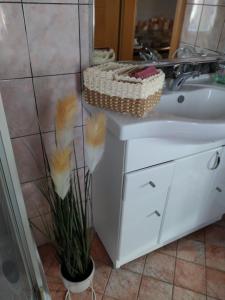 Fotografie z fotogalerie ubytování Renc 2 v destinaci Renče + 11 fotografií