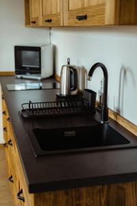 Kuchyň nebo kuchyňský kout v ubytování Gajdův Dvůr Restaurace Apartmán Dvoulůžkový s přistýlkou