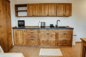 Kuchyň nebo kuchyňský kout v ubytování Gajdův Dvůr Restaurace Apartmán Dvoulůžkový s přistýlkou