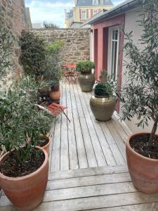 Ein Garten an der Unterkunft Villa Louisa