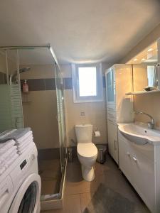 a bathroom with a toilet and a sink and a washing machine at Vafkeri Apartments in Vavkerí +20 photos