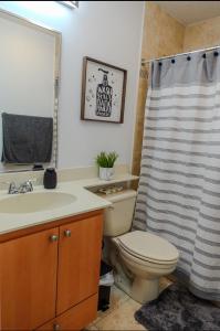 a bathroom with a toilet and a shower curtain at Close to Combate beach, el poblado and restaurants in Pole Ojea